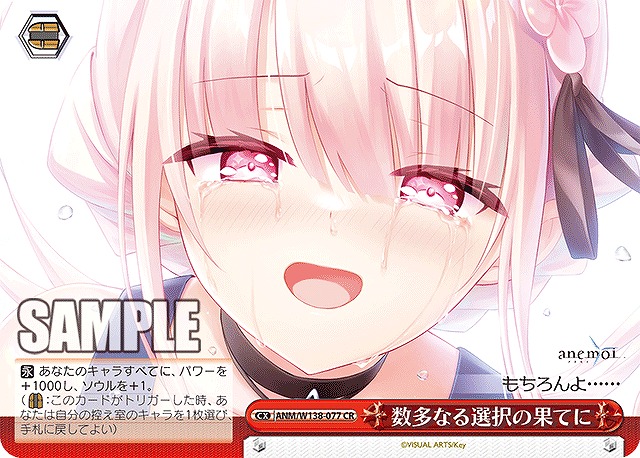数多なる選択の果てに (CR) 【ANM/W138-077CR】